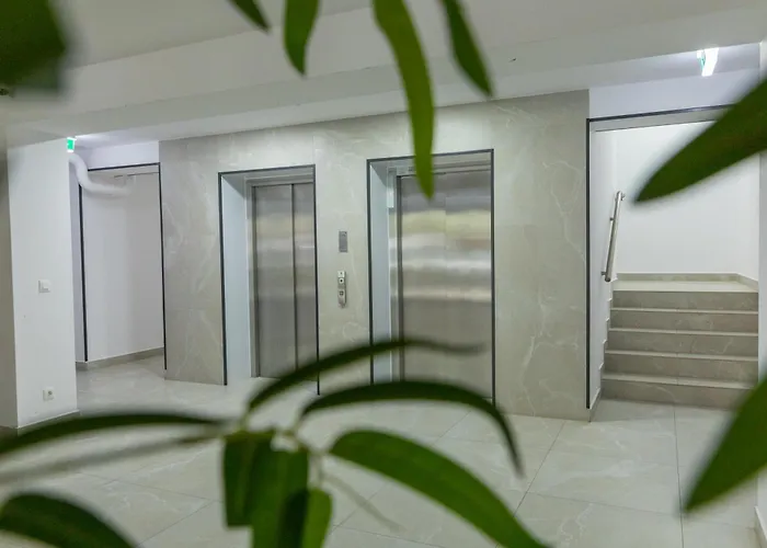 Hils Pallady 14 Bucarest